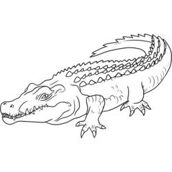 Dessin à colorier: Crocodile (Animaux) #4890 - Coloriages à Imprimer Gratuits