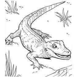 Dessin à colorier: Crocodile (Animaux) #4903 - Coloriages à Imprimer Gratuits