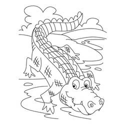 Dessin à colorier: Crocodile (Animaux) #4924 - Coloriages à Imprimer Gratuits
