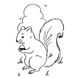 Dessin à colorier: Écureuil (Animaux) #6107 - Coloriages à Imprimer Gratuits