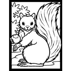 Dessin à colorier: Écureuil (Animaux) #6108 - Coloriages à Imprimer Gratuits