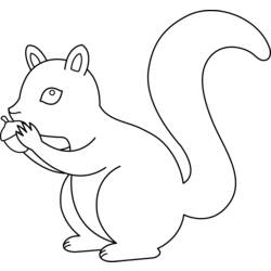 Dessin à colorier: Écureuil (Animaux) #6119 - Coloriages à Imprimer Gratuits