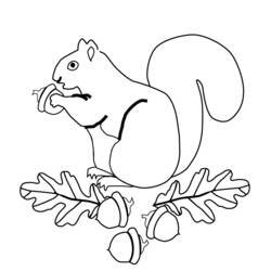 Dessin à colorier: Écureuil (Animaux) #6127 - Coloriages à Imprimer Gratuits
