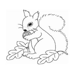 Dessin à colorier: Écureuil (Animaux) #6128 - Coloriages à Imprimer Gratuits