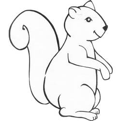 Dessin à colorier: Écureuil (Animaux) #6139 - Coloriages à Imprimer Gratuits