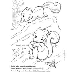 Dessin à colorier: Écureuil (Animaux) #6191 - Coloriages à Imprimer Gratuits