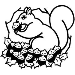 Dessin à colorier: Écureuil (Animaux) #6201 - Coloriages à Imprimer Gratuits