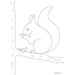 Dessin à colorier: Écureuil (Animaux) #6211 - Coloriages à Imprimer Gratuits