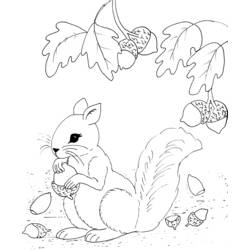 Dessin à colorier: Écureuil (Animaux) #6232 - Coloriages à Imprimer Gratuits