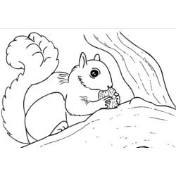 Dessin à colorier: Écureuil (Animaux) #6238 - Coloriages à Imprimer Gratuits