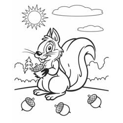 Dessin à colorier: Écureuil (Animaux) #6239 - Coloriages à Imprimer Gratuits