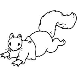 Dessin à colorier: Écureuil (Animaux) #6246 - Coloriages à Imprimer Gratuits