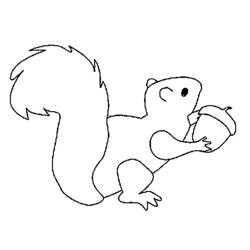 Dessin à colorier: Écureuil (Animaux) #6281 - Coloriages à Imprimer Gratuits