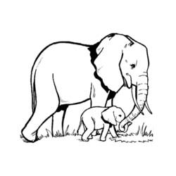 Dessin à colorier: Éléphant (Animaux) #6300 - Coloriages à Imprimer Gratuits