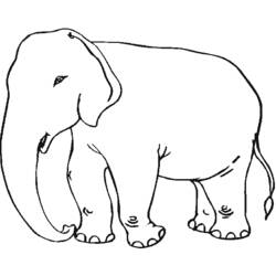 Dessin à colorier: Éléphant (Animaux) #6342 - Coloriages à Imprimer Gratuits