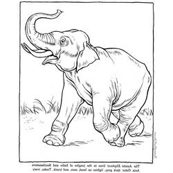 Dessin à colorier: Éléphant (Animaux) #6442 - Coloriages à Imprimer Gratuits