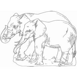 Dessin à colorier: Éléphant (Animaux) #6486 - Coloriages à Imprimer Gratuits