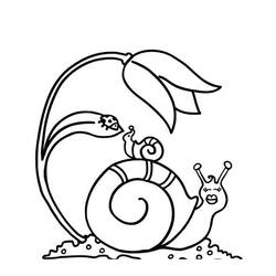 Dessin à colorier: Escargot (Animaux) #6526 - Coloriages à Imprimer Gratuits