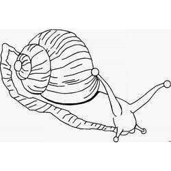 Dessin à colorier: Escargot (Animaux) #6532 - Coloriages à Imprimer Gratuits