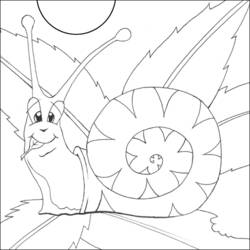 Dessin à colorier: Escargot (Animaux) #6586 - Coloriages à Imprimer Gratuits