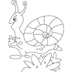 Dessin à colorier: Escargot (Animaux) #6590 - Coloriages à Imprimer Gratuits
