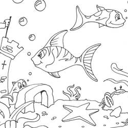 Dessin à colorier: Étoile de mer (Animaux) #6707 - Coloriages à Imprimer Gratuits