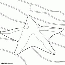 Dessin à colorier: Étoile de mer (Animaux) #6715 - Coloriages à Imprimer Gratuits