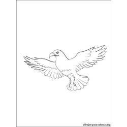 Dessin à colorier: Faucon (Animaux) #6842 - Coloriages à Imprimer Gratuits