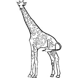 Dessin à colorier: Girafe (Animaux) #7219 - Coloriages à Imprimer Gratuits