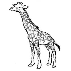 Dessin à colorier: Girafe (Animaux) #7223 - Coloriages à Imprimer Gratuits
