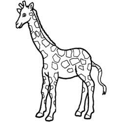 Dessin à colorier: Girafe (Animaux) #7225 - Coloriages à Imprimer Gratuits