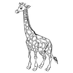 Dessin à colorier: Girafe (Animaux) #7226 - Coloriages à Imprimer Gratuits