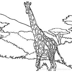 Dessin à colorier: Girafe (Animaux) #7240 - Coloriages à Imprimer Gratuits