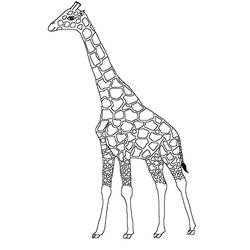 Dessin à colorier: Girafe (Animaux) #7275 - Coloriages à Imprimer Gratuits