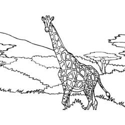 Dessin à colorier: Girafe (Animaux) #7305 - Coloriages à Imprimer Gratuits