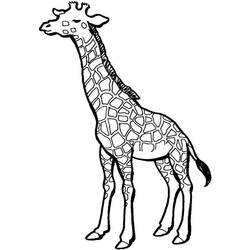 Dessin à colorier: Girafe (Animaux) #7334 - Coloriages à Imprimer Gratuits