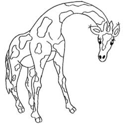 Dessin à colorier: Girafe (Animaux) #7360 - Coloriages à Imprimer Gratuits