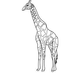 Dessin à colorier: Girafe (Animaux) #7362 - Coloriages à Imprimer Gratuits