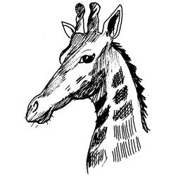 Dessin à colorier: Girafe (Animaux) #7389 - Coloriages à Imprimer Gratuits