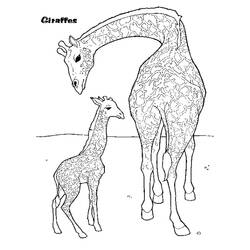 Dessin à colorier: Girafe (Animaux) #7413 - Coloriages à Imprimer Gratuits