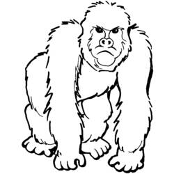 Dessin à colorier: Gorille (Animaux) #7419 - Coloriages à Imprimer Gratuits