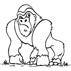 Dessin à colorier: Gorille (Animaux) #7420 - Coloriages à Imprimer Gratuits
