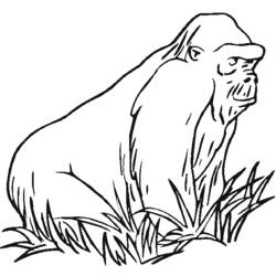 Dessin à colorier: Gorille (Animaux) #7459 - Coloriages à Imprimer Gratuits