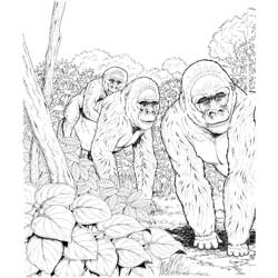 Dessin à colorier: Gorille (Animaux) #7464 - Coloriages à Imprimer Gratuits