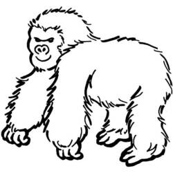 Dessin à colorier: Gorille (Animaux) #7475 - Coloriages à Imprimer Gratuits