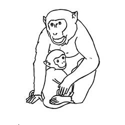 Dessin à colorier: Gorille (Animaux) #7476 - Coloriages à Imprimer Gratuits