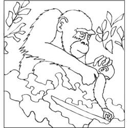 Dessin à colorier: Gorille (Animaux) #7498 - Coloriages à Imprimer Gratuits