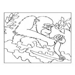 Dessin à colorier: Gorille (Animaux) #7512 - Coloriages à Imprimer Gratuits