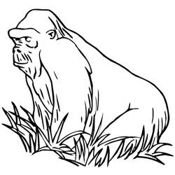 Dessin à colorier: Gorille (Animaux) #7514 - Coloriages à Imprimer Gratuits