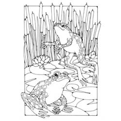 Dessin à colorier: Grenouille (Animaux) #7716 - Coloriages à Imprimer Gratuits